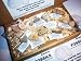 Fossils for Children - NEW - 12 GENUINE fossils - Ice Age to Dinosaurs and Beyond - Educational Set No1