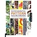 Experimental Pattern Sourcebook: 300 inpired Designs from around the World. Autorisierte amerikanische Originalausgabe