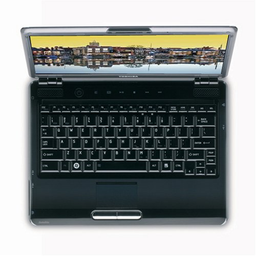 Toshiba Satellite U405-S2856 13.3" Laptop (2.26 GHz Intel Core 2 Duo P8400 Processor, 3 GB RAM, 320 GB Hard Drive, DVD Drive, Vista Premium) Black