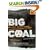 Big Coal: The Dirty Secret Behind America's Energy Future