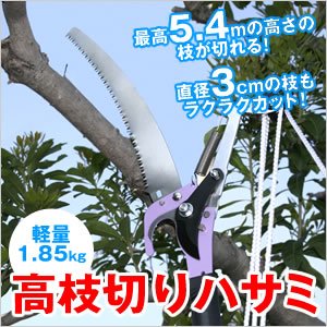 【高枝切りハサミ】　5メートルの高さまで届く高枝切りハサミ　TA-11