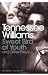 Sweet Bird of Youth and Other Plays (Penguin Modern Classics)