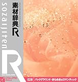 �f�ގ��T[R]028 �o�b�NG�E����߂�&���}���e�B�b�N