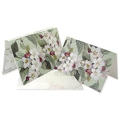 Apple Blossoms - Set of 10 Petite Greeting Cards