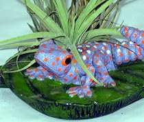 Gecko Nature Scene-Tillandsia/Airplant-For Home/Office