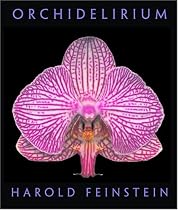 Orchidelirium