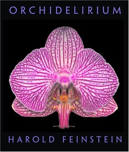 Orchidelirium