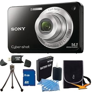 Sony Cyber-Shot DSC-W560 14.1 MP Digital Still Camera 