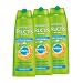 Garnier Fructis Shampoo Kraft & Glanz , 3er Pack (3 x 250 ml)
