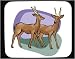 Decorated Mouse Pad with fauna, running, imberbis, nature, environment, savannah, kud...