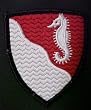 36th Engineer Group Full Color Dress Patch