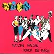 Katzen Tanzen durch die Nacht