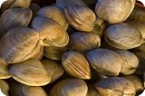 Littleneck Clams - 100 Count