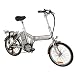 e-Moto 1.0 Traveler 24-Volt Folding Electric Bicycle (Silver, 20-17-Inch)