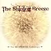 The Shining Breeze: The Slowdive Anthology (2 CD set)