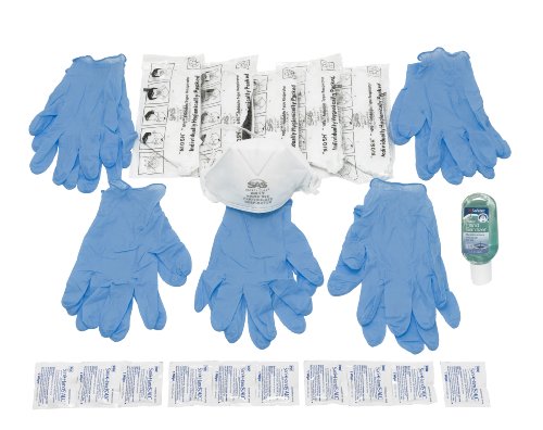 H1N1 and Swine Influenza (Flu) Protection Kit w/ N95 Masks - Meets CDC Guidelines for H1N1 and Swine Flu
