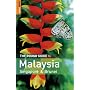 The Rough Guide to Malaysia, Singapore and Brunei (Rough Guide Travel Guides)