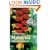 The Rough Guide to Malaysia, Singapore  &  Brunei 5 (Rough Guide Travel Guides)