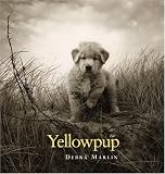 Yellowpup
