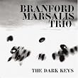 Dark Keys