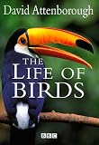 The Life of Birds
