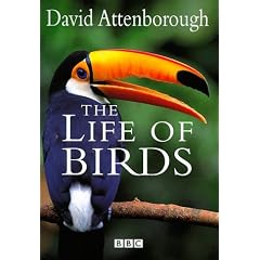 The Life of Birds
