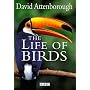 The Life of Birds