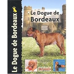 Le dogue de Bordeaux