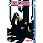 Bleach Bd 15
