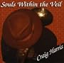 Souls Within the Veil