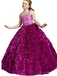 Girls  Lace Beaded Halter Floor Length  Ball Gown Flower-Girl Dress/Pageant Dress 