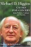 Causes for Concern: Irish Politics, Culture and Society