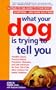 What Your Dog Is Trying to Tell You: A Head-To-Tail Guide Dog's Symptoms-And Their Solutions