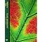 Botany and Plant Physiology