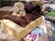 Designer Dog Bedding - Ensemble for Pucci Mini Dog Beds Brown with Roll Pillow (Set includes Comforter, Matching Sheet and Pillow) Made in USA