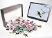 Photo Jigsaw Puzzle of Pompadour Green-Pigeon Treron pompadora Subic Luzon Philippines from David Tipling