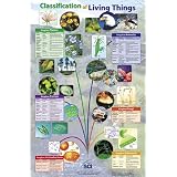 Classifying Life Poster