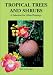 Book Tropical Trees and Shrubs: A Selection for Urban Plantings