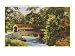 Covered Bridge, Valley Forge, Pennsylvania Giclee Poster Print, 32x24