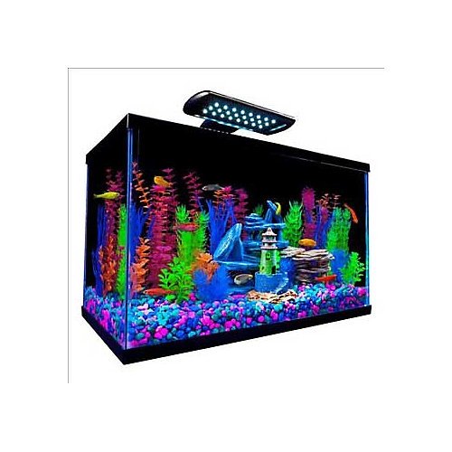 Tetra Glofish Kit 10 Gallon Great Chance! Aquariums