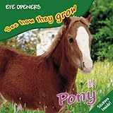 Pony