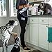The Honest Kitchen Halcyon Organic Whole Grain Dog Food - Natural Human Grade Dehydrated Dog Food Duck 4 lbs (Makes 16 lbs)