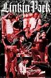 Linkin Park Poster, 24