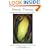 Gestalt Therapy: Excitement and Growth in the Human Personality