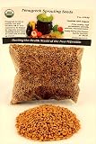Certified Organic Fenugreek Sprouting Seed: 1/2 Lb. (8 Oz.) of Fenugreek for Sprouts, Planting, Cooking, Hydroponics, Gardening & More: Rich in Chlorophyll & Vitamins. Revered By the Chinese for Hormone Balance & Weight Loss. They Make a Zesty Addition to Sprout Salads.