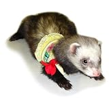 Ferret �썑�L���~ M �C�G���[