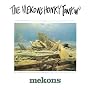 The Mekons Honky Tonkin'