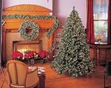 Bethlehem Lights Indoor/Outdoor Pre-lit 36-Inch Glacier Christmas Wreath with Pinecones