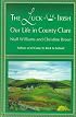 The Luck of the Irish : Our Life in County Clare