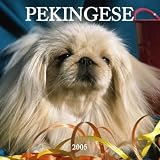 Pekingese Wall
